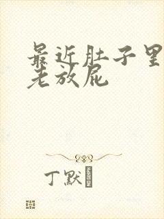 最近肚子里有气老放屁