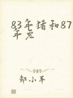 83年猪和87年兔