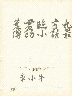 叶君临有九个师傅的小说最新章节