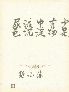 尿液中有少量白色沉淀物是什么原因