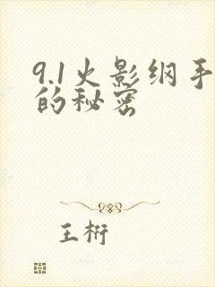 9.1火影纲手的秘密封面