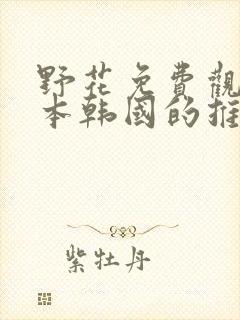 野花免费观看日本韩国的推荐理由