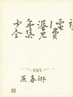 少年派1电视剧全集免费