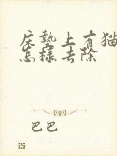 床垫上有猫尿味怎样去除