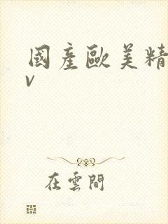 国产欧美精品av封面