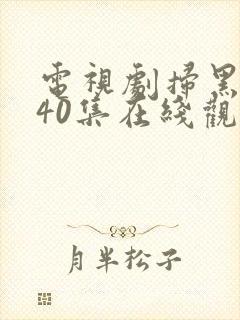 电视剧扫黑风暴40集在线观看免费