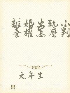 离婚出轨小孩抚养权怎么判