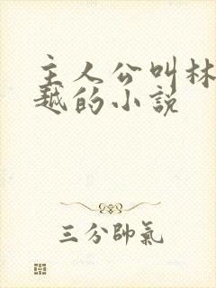 主人公叫林风穿越的小说