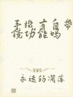 手机有自带放大镜功能吗封面