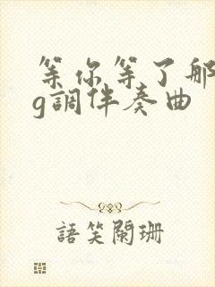 等你等了那么久g调伴奏曲