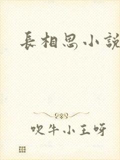 长相思小说原著