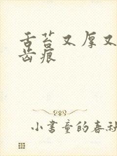 舌苔又厚又白有齿痕