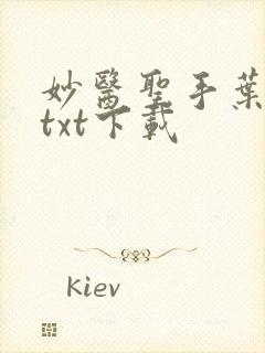 妙医圣手叶皓轩txt下载