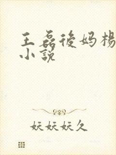 王磊后妈杨晓芬小说封面