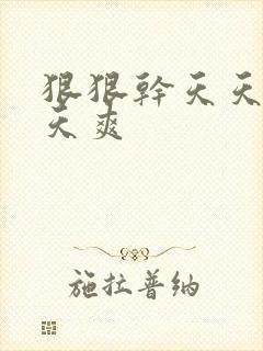 狠狠干天天操天天爽