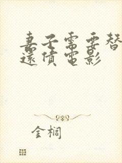 妻子需要替丈夫还债电影