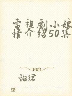 电视剧小娘惹剧情介绍50集封面