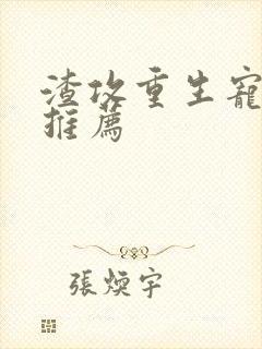 渣攻重生宠受文推荐封面