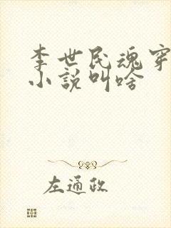 李世民魂穿刘禅小说叫啥