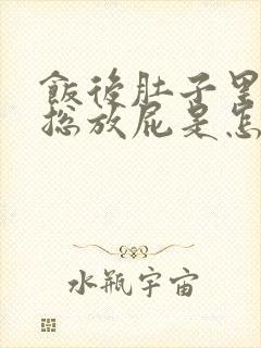 饭后肚子里有气总放屁是怎么回事封面