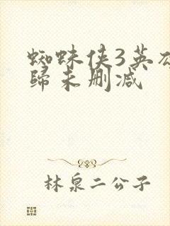 蜘蛛侠3英雄无归未删减封面