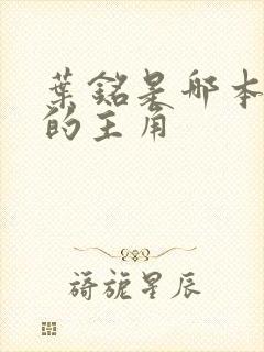 叶铭是哪本小说的主角