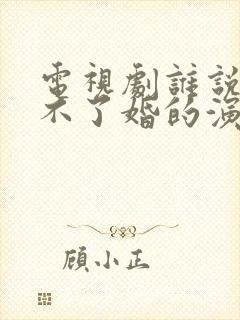 电视剧谁说我结不了婚的演员表