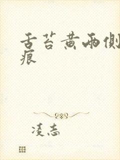 舌苔黄两侧有齿痕