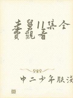 老舅11集全免费观看