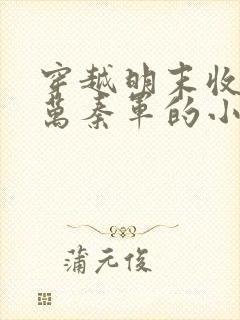 穿越明末收了八万秦军的小说封面