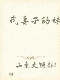 我妻子的妹妹2