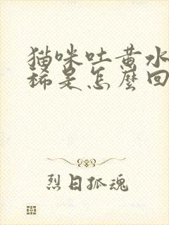 猫咪吐黄水不拉稀是怎么回事