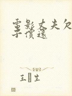 电影丈夫欠债妻子偿还