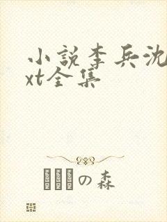 小说李兵沈思txt全集