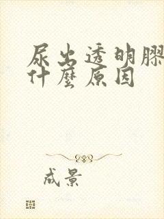 尿出透明胶状物什么原因