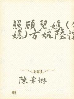 照顾儿媳 (公媳)方婉陆怀洲小说