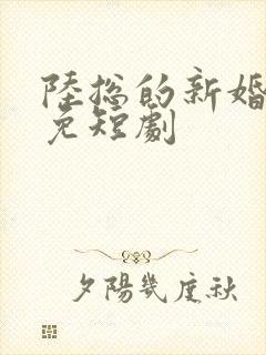 陆总的新婚哑妻免短剧封面