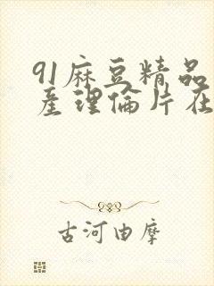 91麻豆精品国产理伦片在线观看