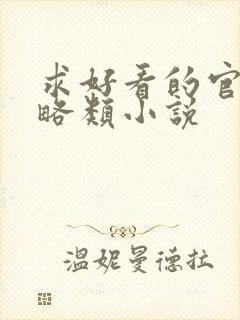 求好看的官场谋略类小说