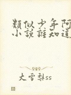 类似少年阿宾的小说谁知道几部