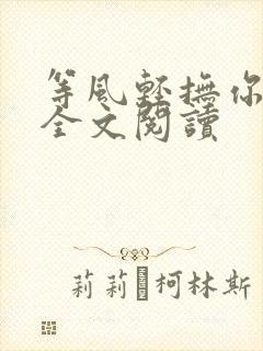 等风轻抚你免费全文阅读