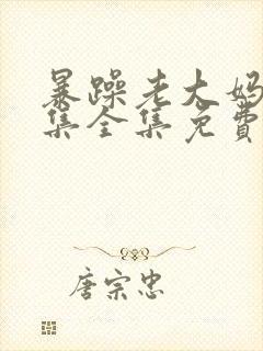 暴躁老大妈46集全集免费观看电视剧在封面