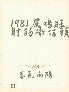 1981属鸡旺财的微信头像
