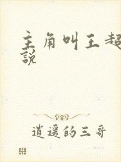 主角叫王超的小说封面