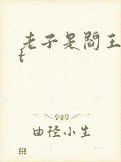 老子是阎王txt封面