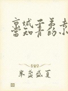 京城子弟去下乡当知青的小说