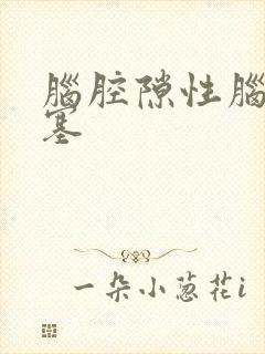 脑腔隙性脑部梗塞