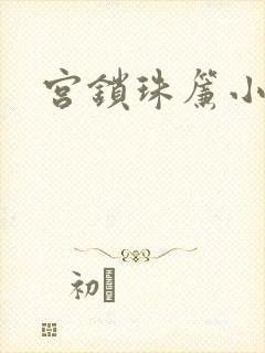 宫锁珠帘小说封面