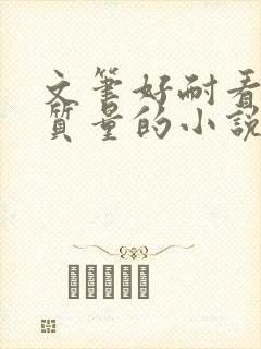 文笔好耐看的高质量的小说