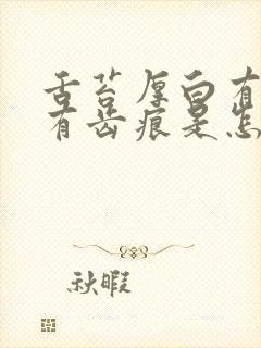 舌苔厚白有裂纹有齿痕是怎么回事封面